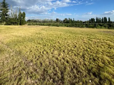 VENTA FINCA EN LUJAN DE CUYO