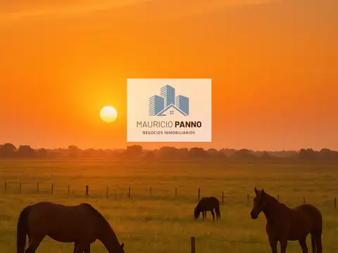 Terreno / Lote en venta de 500m2 ubicado en Duggan