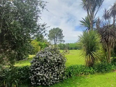 Casa en Alquiler Temporal en La Plata, USD 600