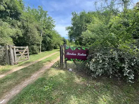 66 y 200 Olmos "BERDEA KALEA"