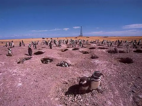 INMOBILIARIA COMODORO - Estancia Productiva y Refugio de vida silvestre.