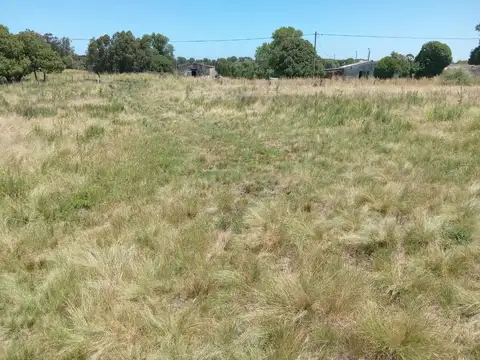 Calle 799 y calle 20