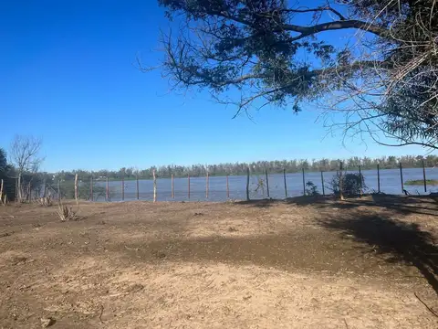 985 Has ganaderas en las islas de Victoria