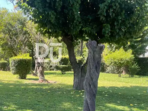 Quinta en Venta 50 años