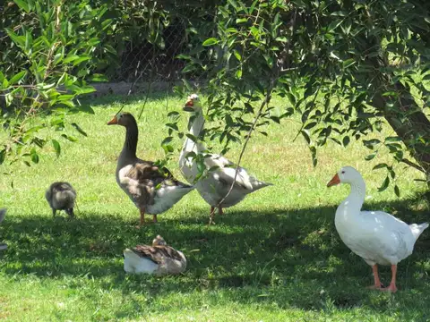 Casa en Venta en Pilar Del Este, USD 210.000