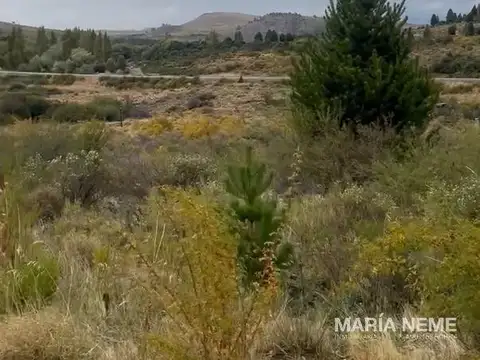 Barrancas de Dina Huapi