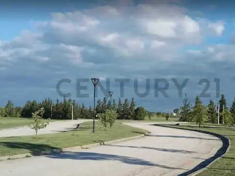 CAMPOS DE ROCA Ruta 2, Km 65. , Piso 0