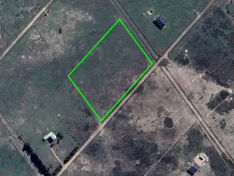 Benito Lynch y Miguel Cane