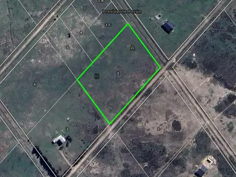 Benito Lynch y Miguel Cane