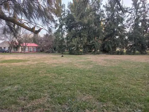 Campo de 2.7 has en Cañuelas, con acceso desde la ruta 205.