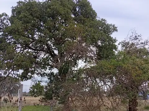 14 e/ 660 y 661 , Piso 0