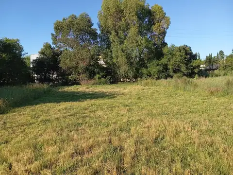 Terreno en Venta de 300,0 m2