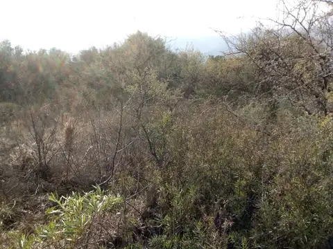 Lote en Cerro de Oro