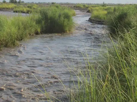 Campo en Venta de 83  ha