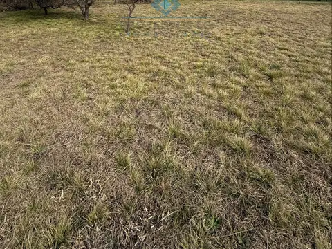 la pradera esquina fortin