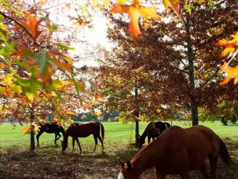 Terreno en Venta en Rio Lujan, USD 68.000