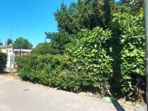 Terreno en Venta de 1180,0 m2