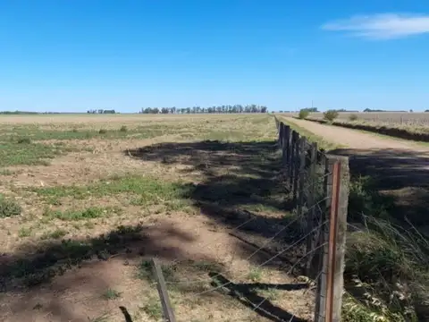 SE VENDE CAMPO EN ROJAS