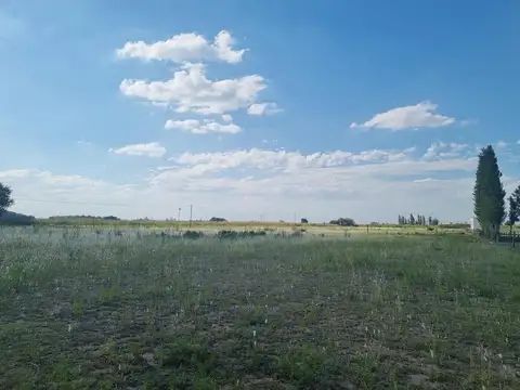 Terreno en Venta de 20000,0 m2