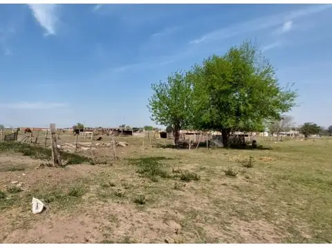 Blas Parera y Sarmiento