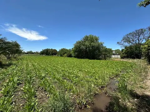 Terreno en Venta de 2516,0 m2