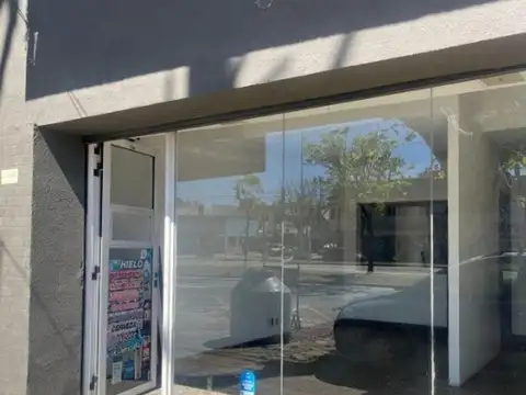 LOCAL AVENIDA MITRE 5300 VILLA DOMINICO