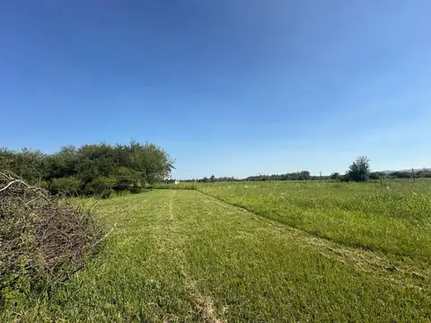 Ruta Provincial C45 100