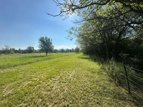 1 HECTAREA EN FALDA DEL  CARMEN SOBRE RUTA C45