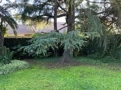 Doctor Salvador Mazza 3500