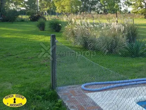 Venta de quinta-chacra de 3,2 hectáreas en Torres