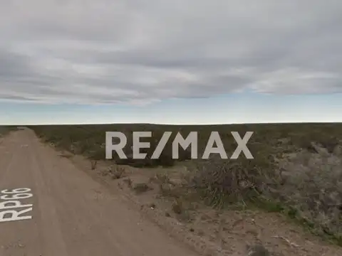 VENTA DE CAMPO RAMOS MEXIA  RIO NEGRO