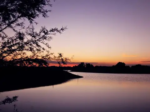 Terreno en Venta de 1013,0 m2