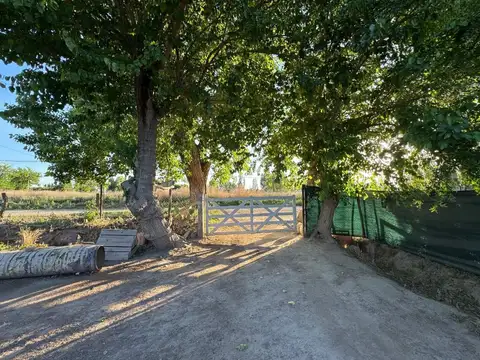 Finca en venta Maipú con 2 casas y 2 galpones