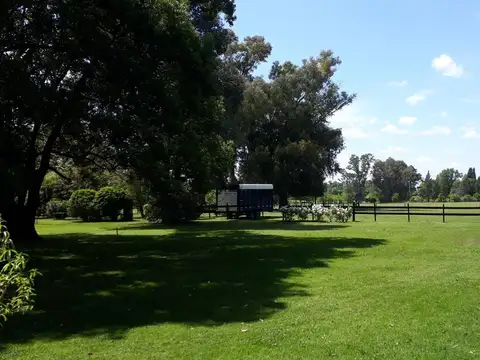 Campo - Venta - Argentina, Pilar - BEETHOVEN 300