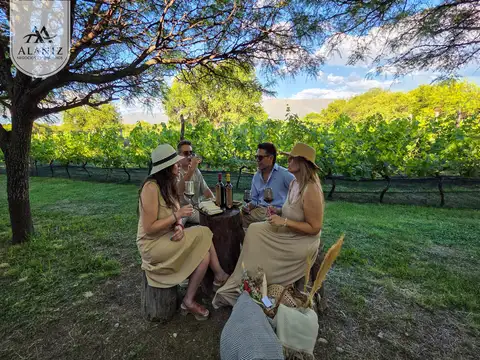 Viñedo de 2 Hectáreas en Funcionamiento + Bodega + 2 Casas en Venta, Merlo, San Luis.