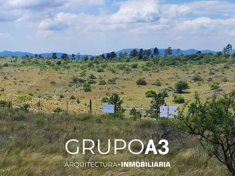 Pública 100, Piso 00