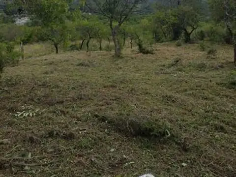 Terreno en Venta en Santa Rosa De Calamuchita, USD 20.000