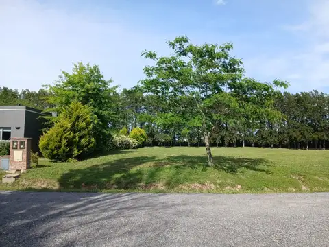 Terreno en Venta de 1045,0 m2