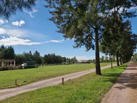 Barrio Fincas de San Vicente Sporting