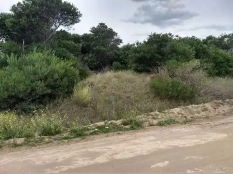 Terreno en Venta en Coronel Dorrego, USD 27.000