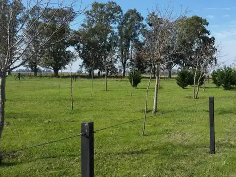 Ruta 31 - San Antonio de Areco