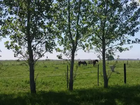 Ruta 31 - San Antonio de Areco