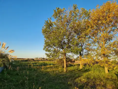 Casa en venta con 1,5ha de terreno