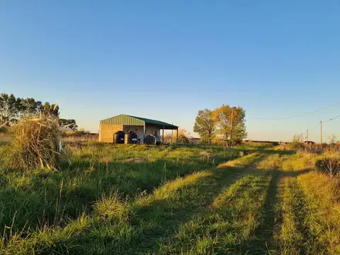Casa Monoambiente con 1 baño