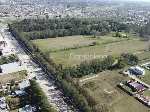 Calle Beschtedt 2400