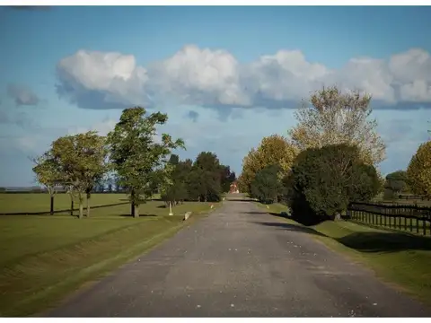 Terreno en Venta de 14279,0 m2