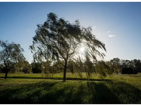 Santa Maria de Lobos