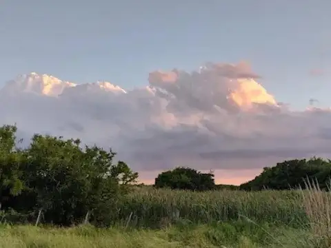 Chacra en venta - 16.100Mts2 - Pinamar