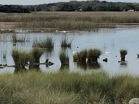 Ruta Provincial 74 - KM 1,5