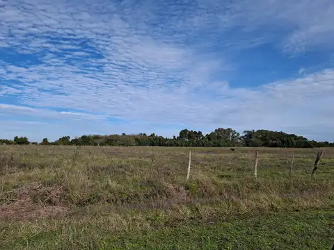 Campo en Venta de 5  ha
